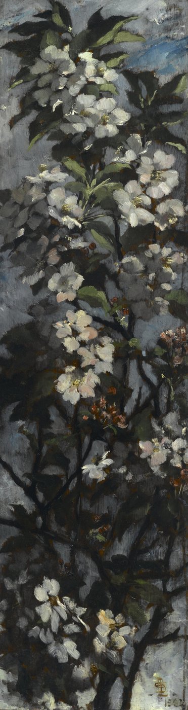 Apfelblüten von Elizabeth Boott Duveneck